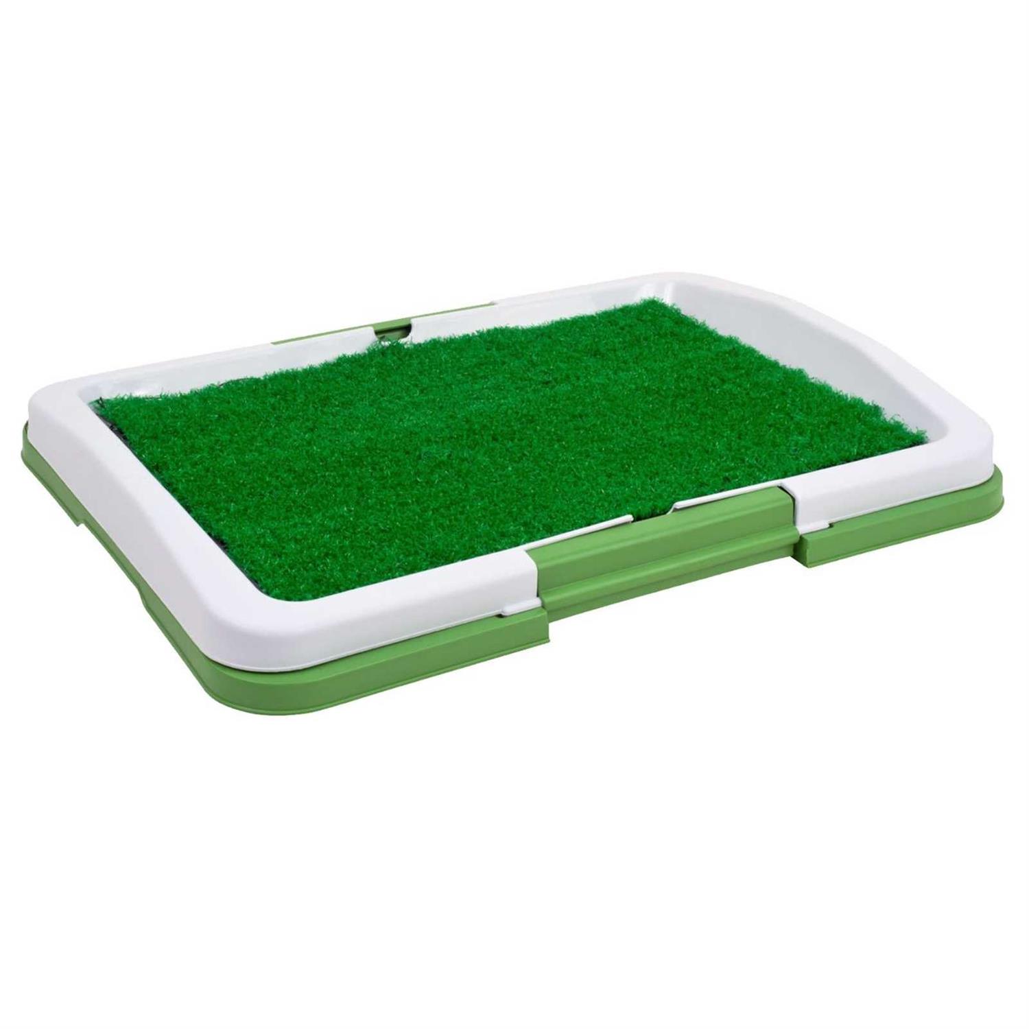 Global TV Products Potty Trainer - Healthber