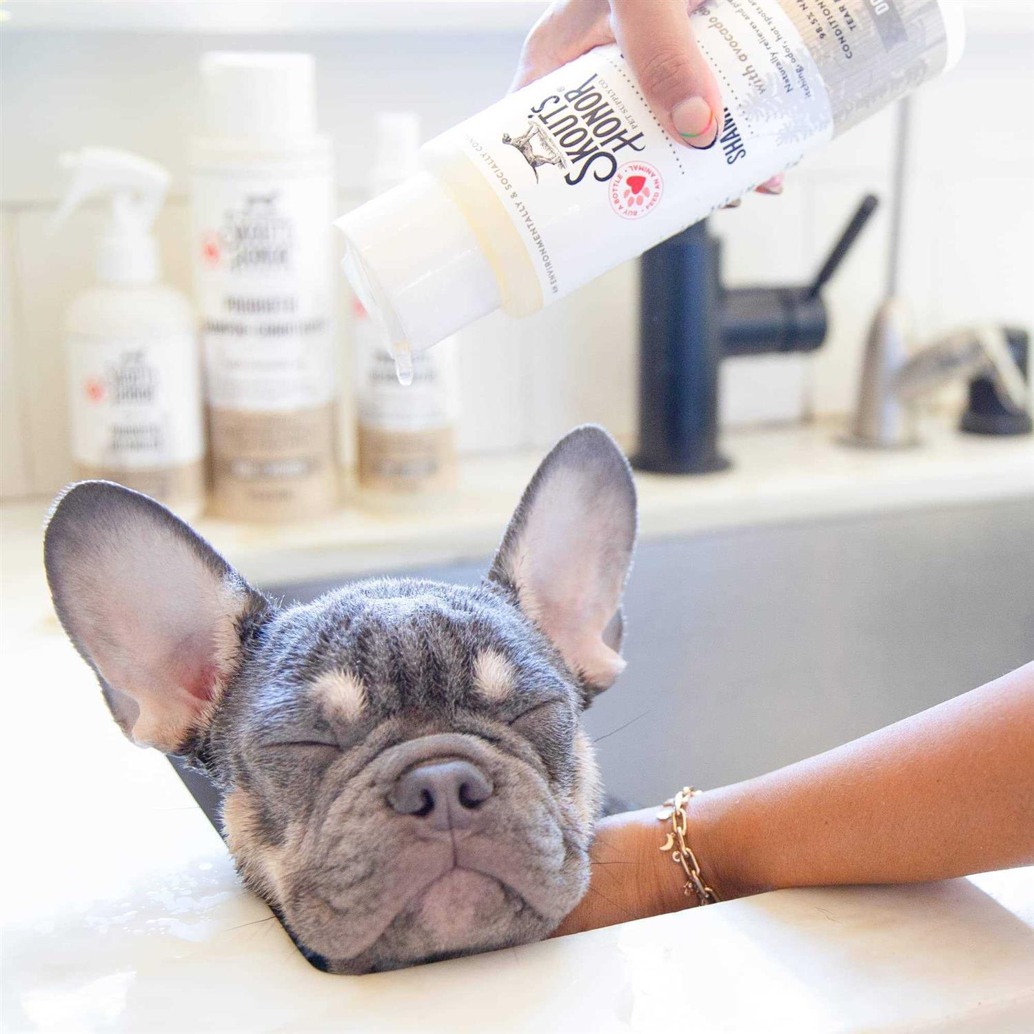 Skout’s Honor Probiotic Shampoo Conditioner Dog of the Woods - Healthber