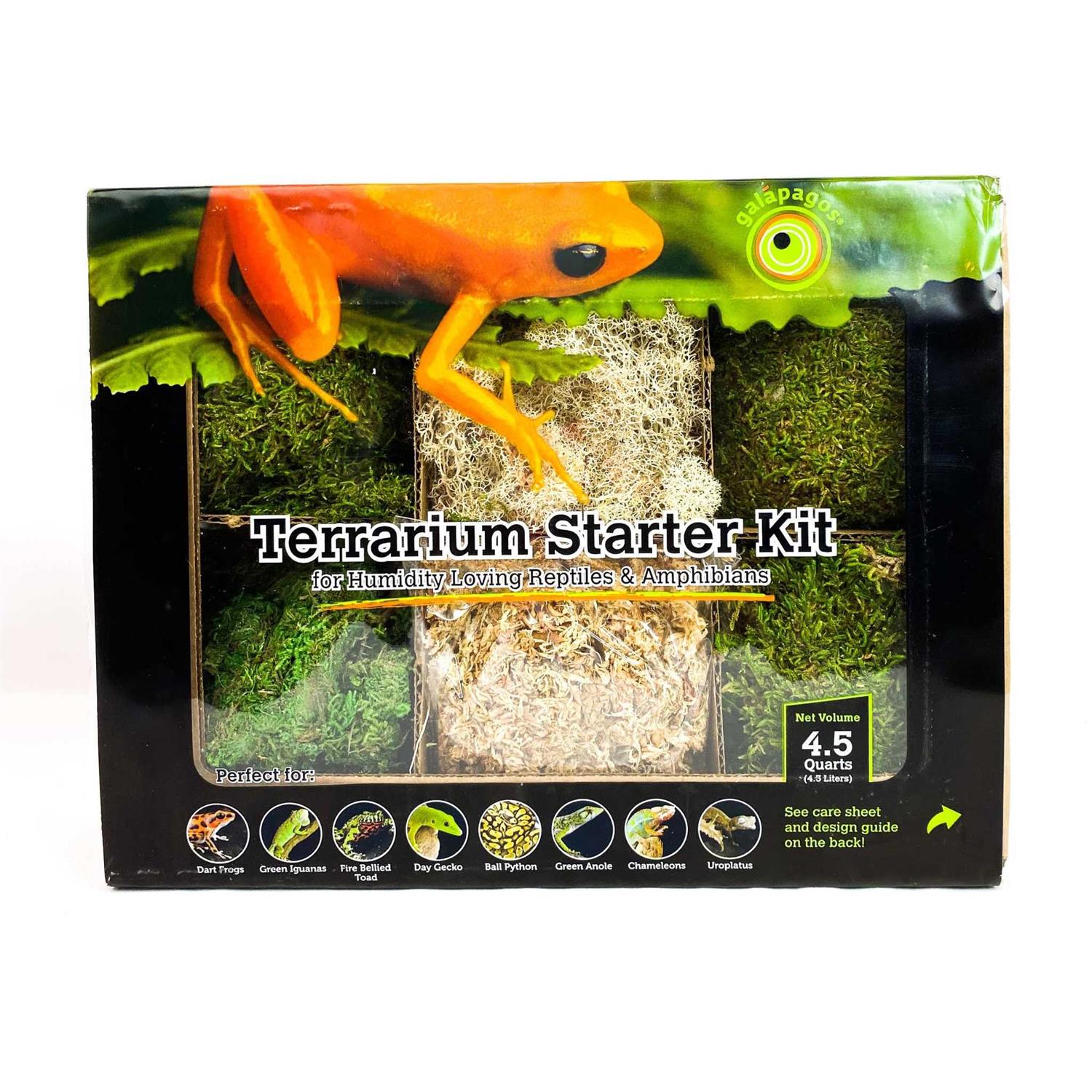 Galapagos Humid Environment Terrarium Starter Kit - Healthber