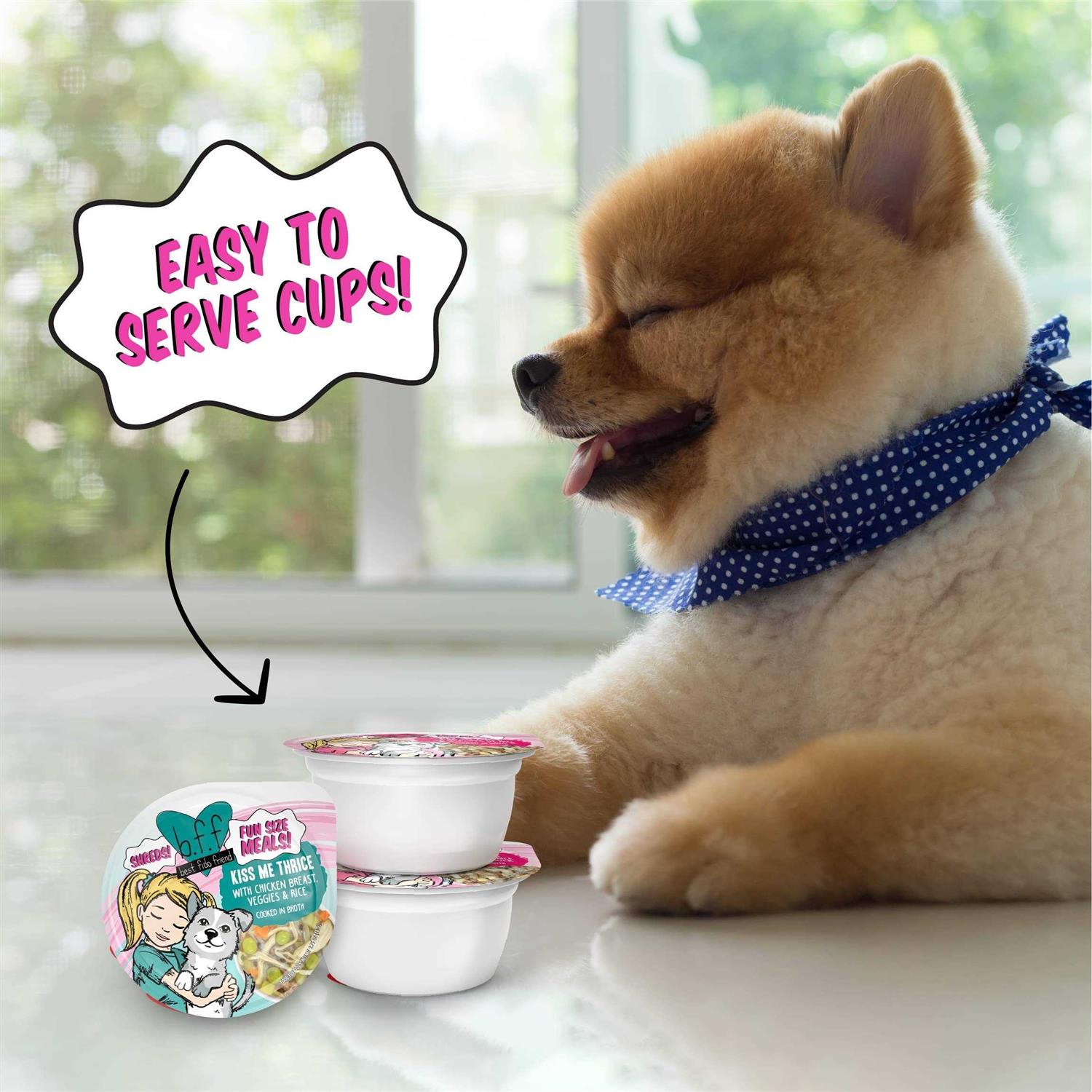 Weruva BFF Fun Size Meals Fun Size Sampler Variety Pack Wet Dog Food - Healthber