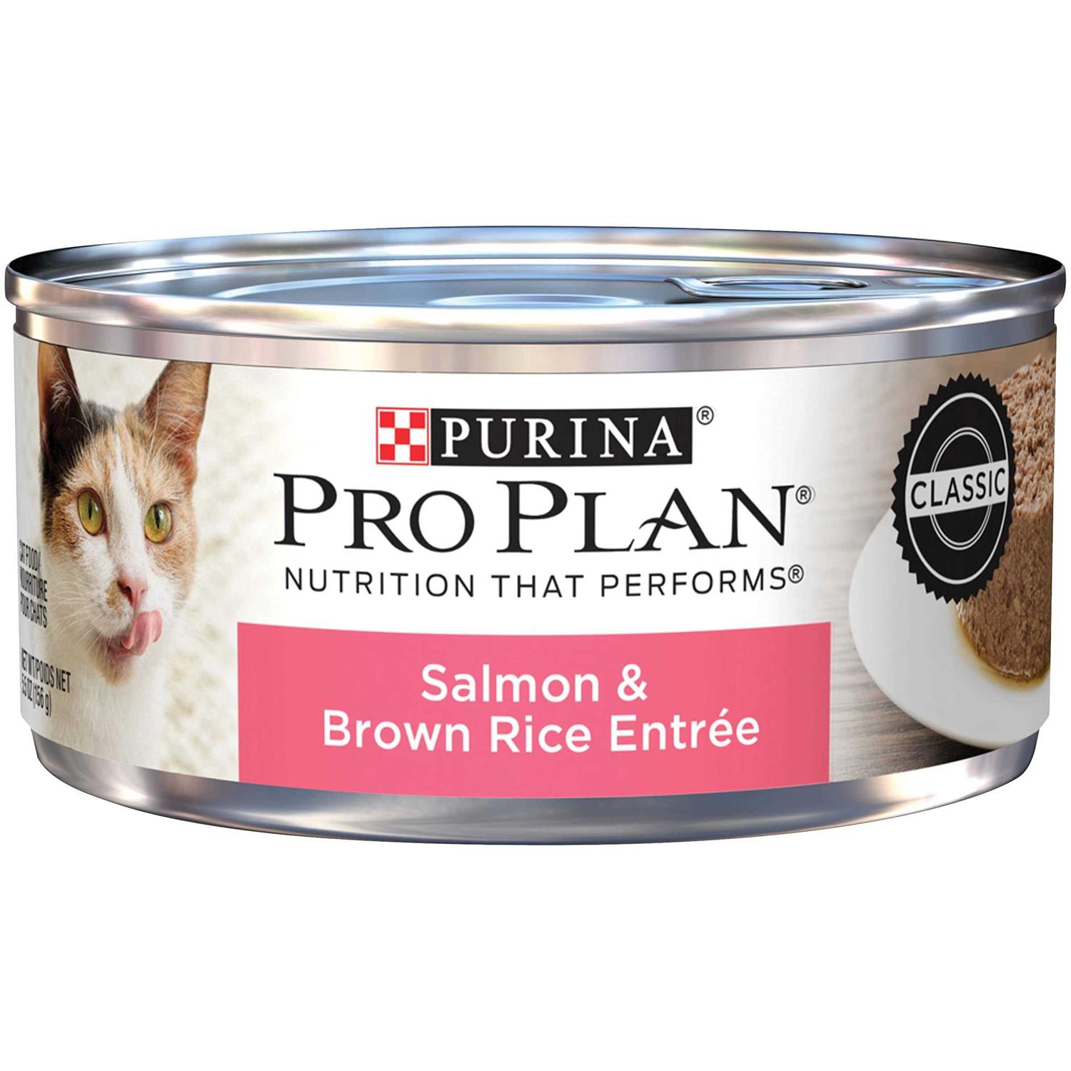 Purina Pro Plan Pate Wet Cat Food - Healthber