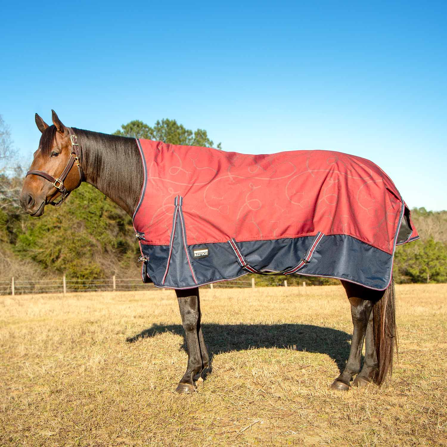 Poplar Head Uniquely English 1200 Denier Turnout Blanket with High Neck, 240 Gram, Merlot Snaffles & Irons - Healthber
