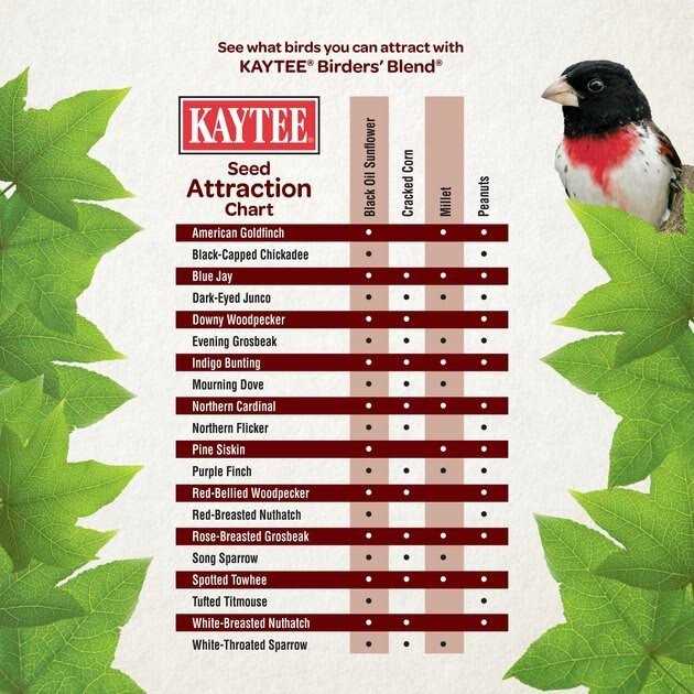 Kaytee Birders Blend Wild Bird Food - Healthber