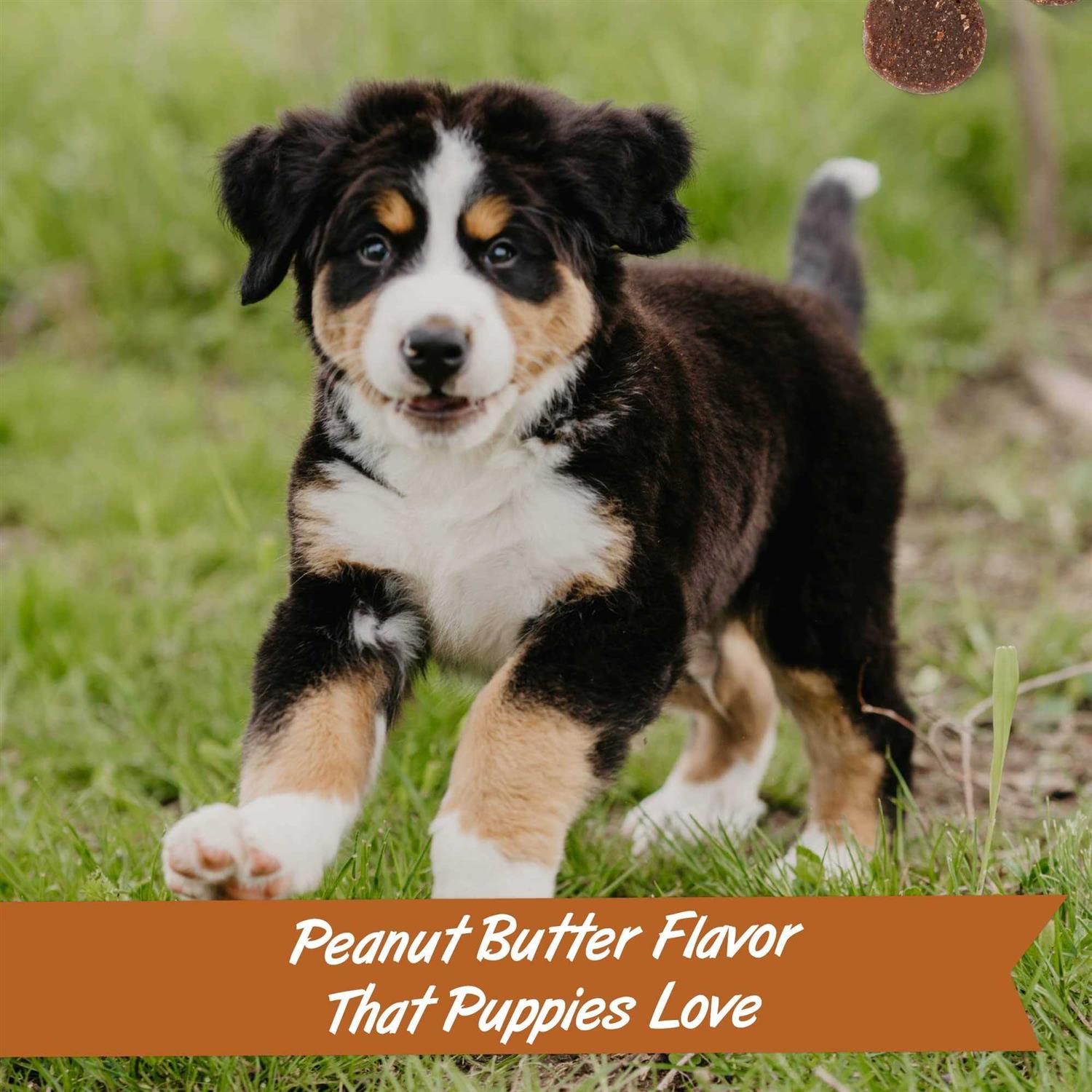 Pet Botanics Peanut Butter Puppy Bites Soft & Chewy Dog Training Treats - Healthber