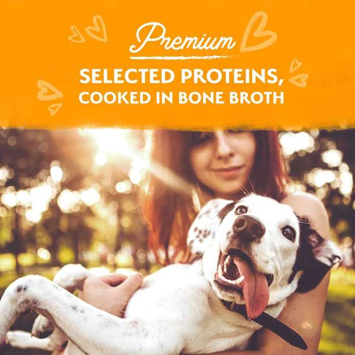 Natural Balance Limited Ingredient Stew Wet Dog Food - Healthber
