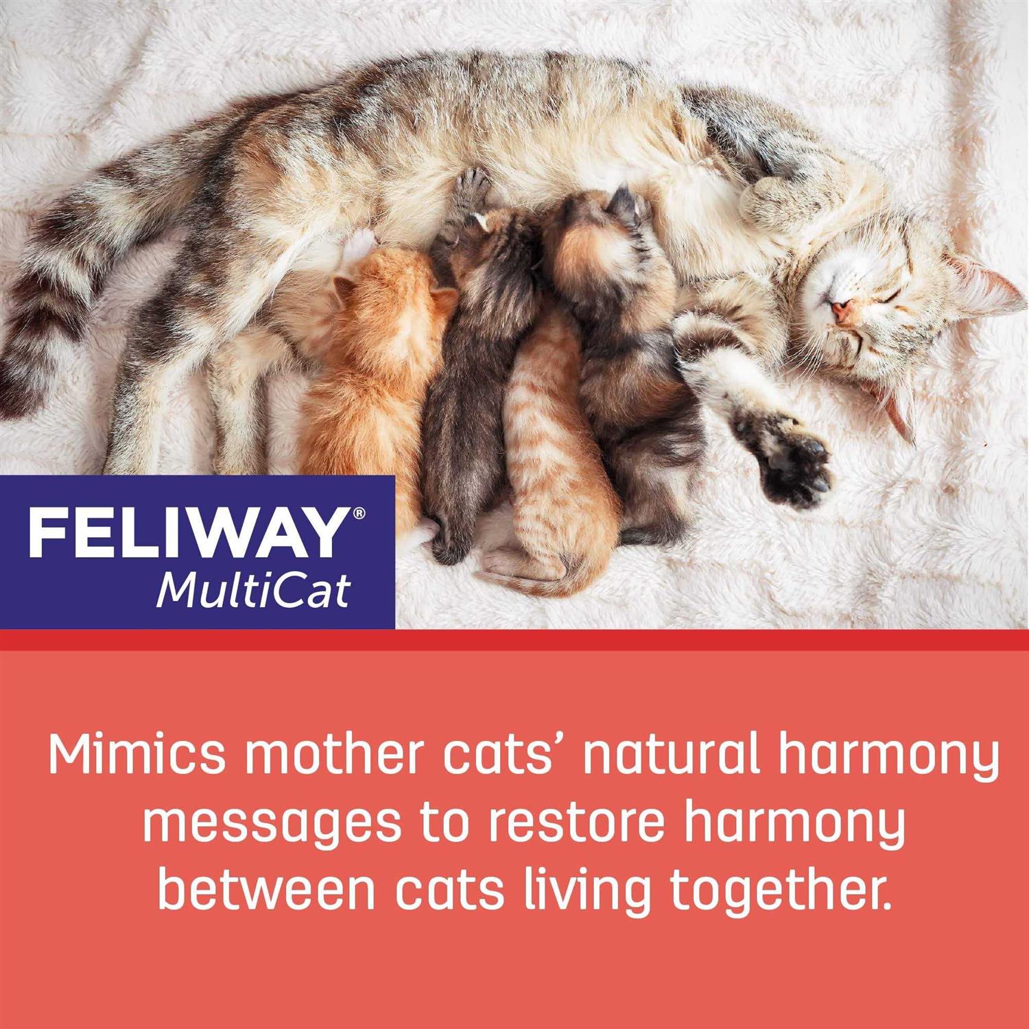 Feliway Multicat 3-Pack Refill - Healthber
