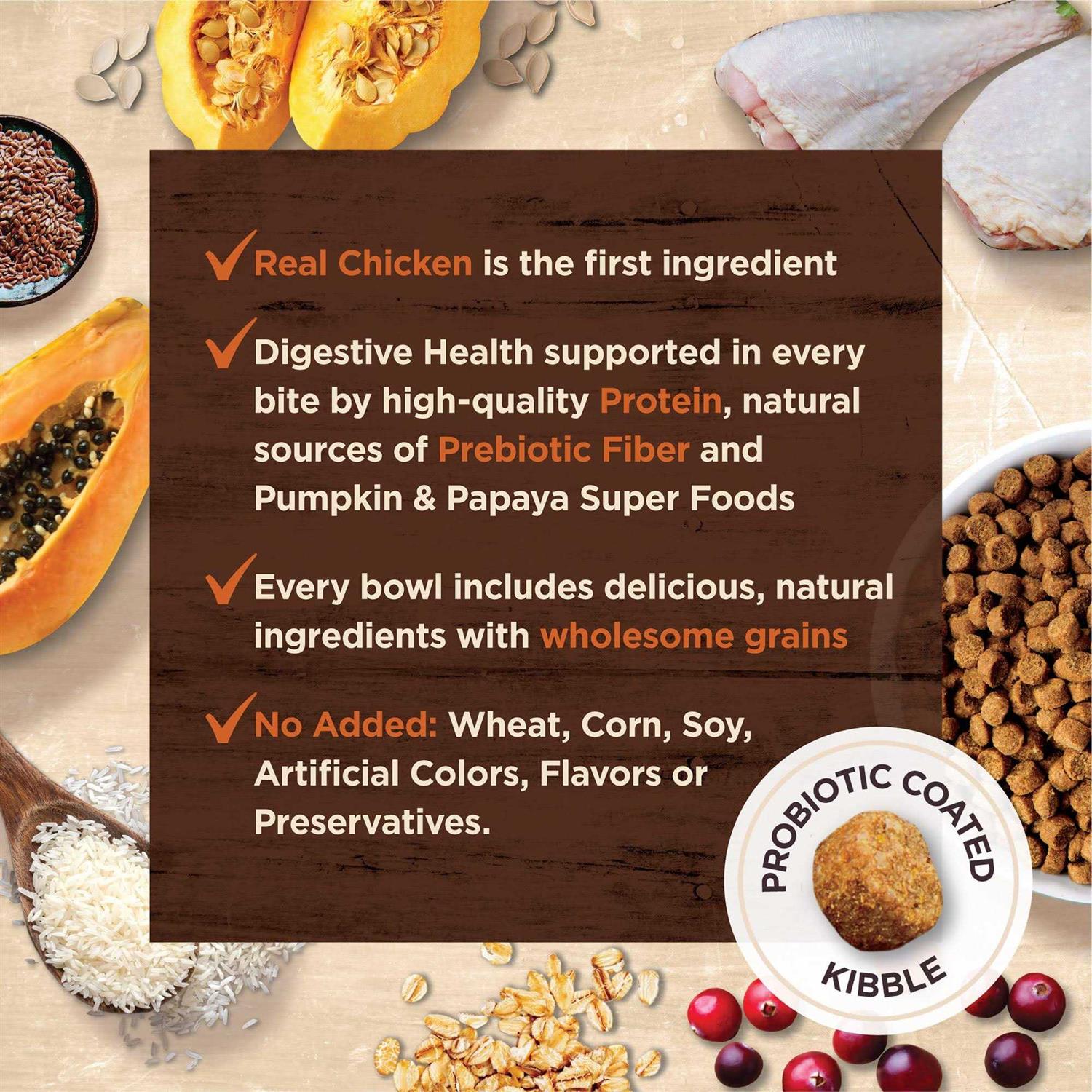 Wellness Core Digestive Health Chicken & Rice Dry Cat Food - Healthber