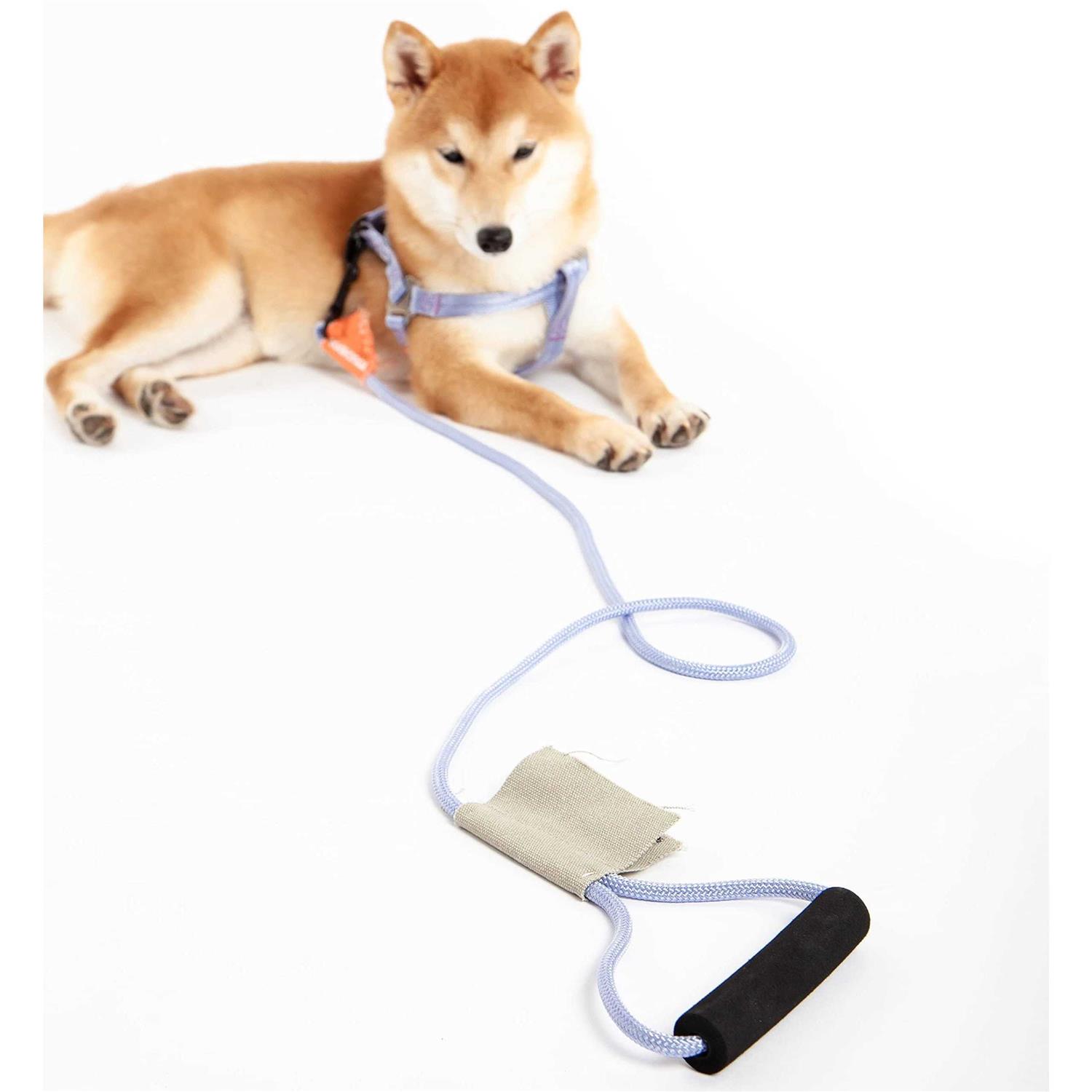 Touchdog Macaron 2-in-1 Durable Nylon Dog Harness and Leash - Healthber