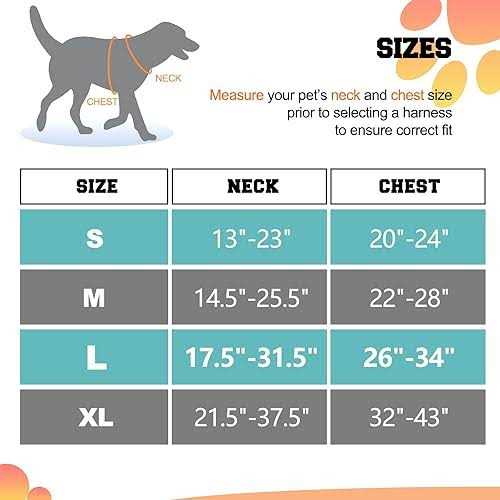 GOOPAWS GOOPAWS Padded Reflective Dog Harness Easy Control Lightweight Dog Harness - Healthber