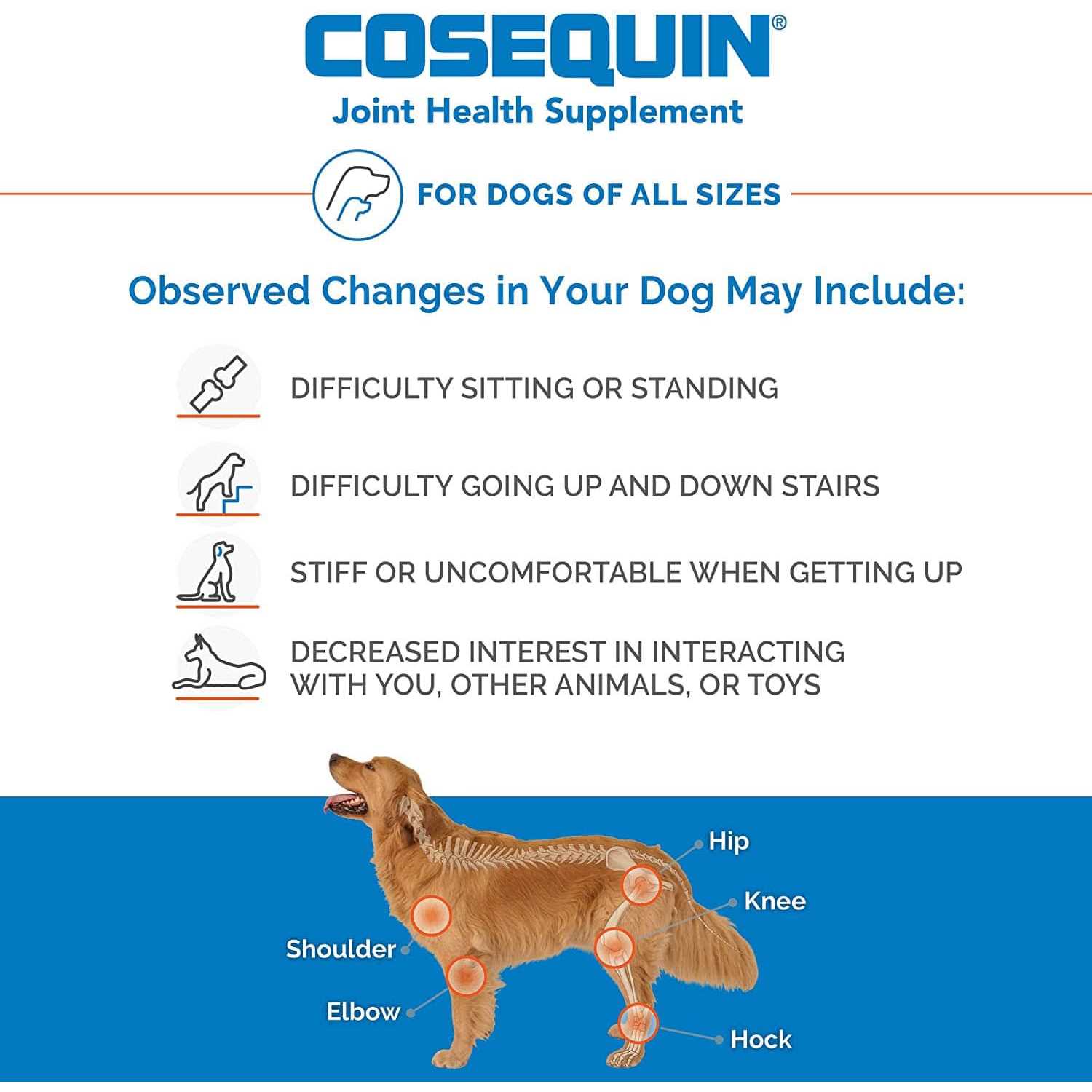 Cosequin DS Chewable Tablets for Dogs - Healthber
