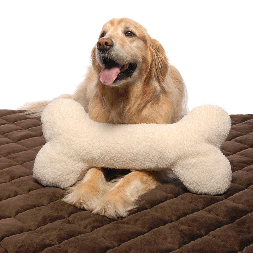 Carolina Pet Bone Pillow Toy - Healthber