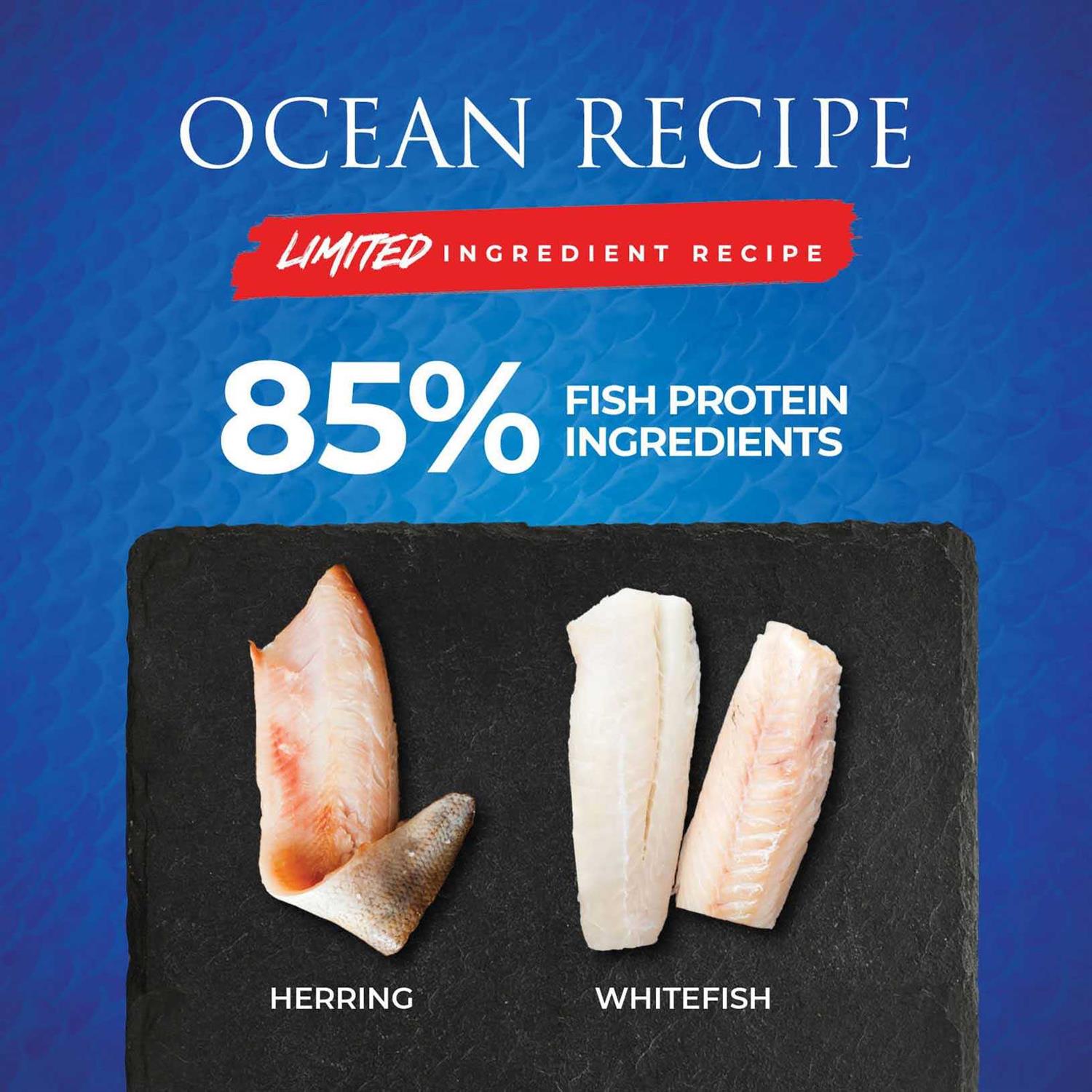 Essence Limited Ingredient Ocean Recipe Dog Dry Food - Healthber