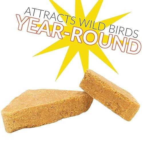 C&S Woodpecker Delight No-Melt Suet Dough - Healthber