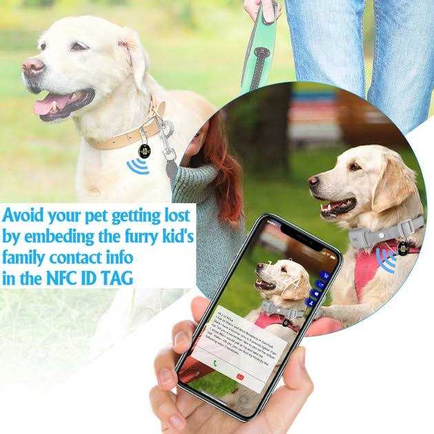 PATPET P650 Remote Training Collar for Small Medium Large Dogs Safe Shock - Healthber