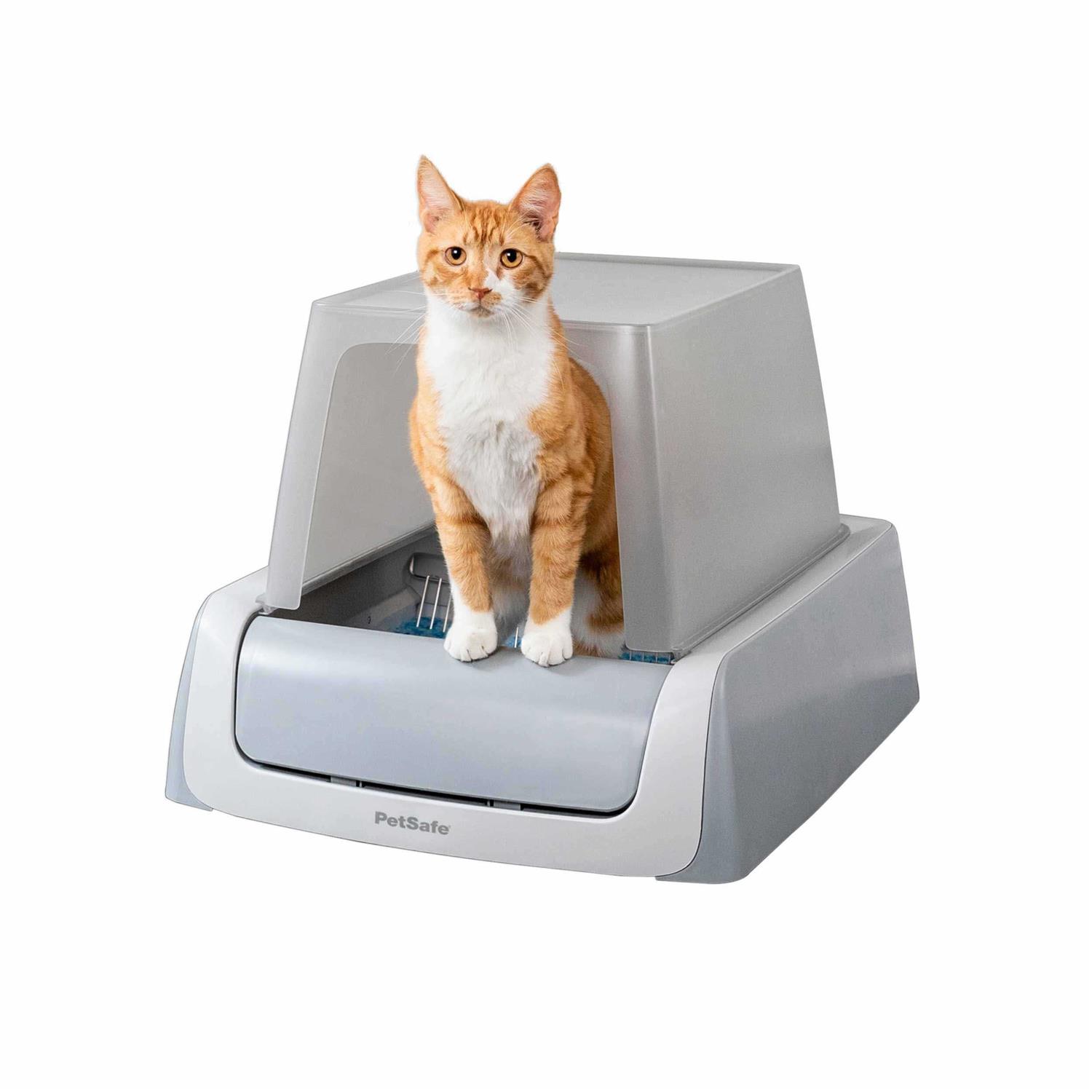 PetSafe ScoopFree Self-Cleaning Cat Litter Box - Healthber