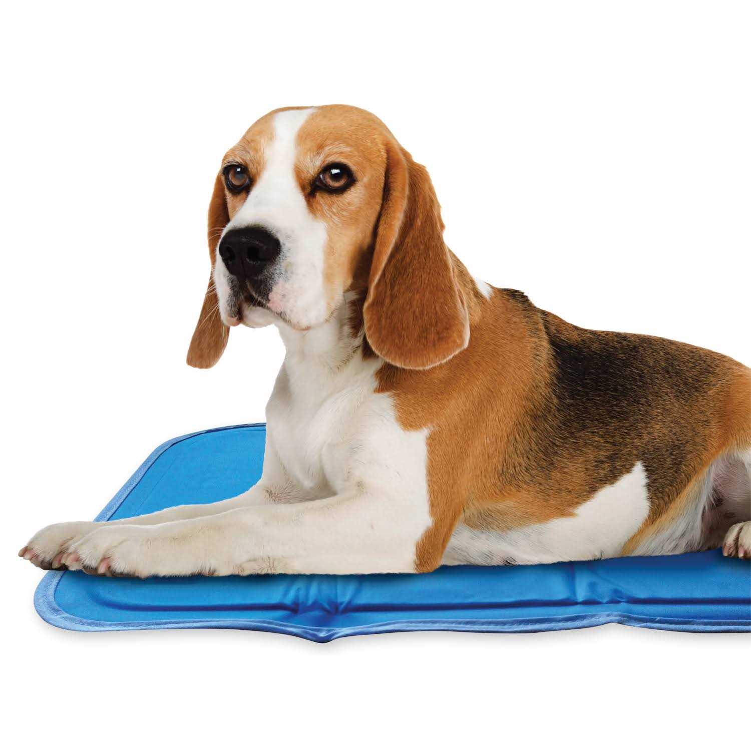 Green Pet Shop Cool Pet Pad - Healthber