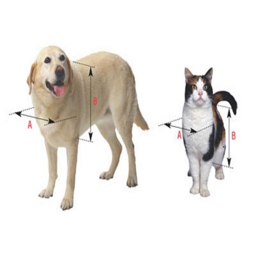 Ideal Pet Products Ruff Weather Replacement Flap - Healthber