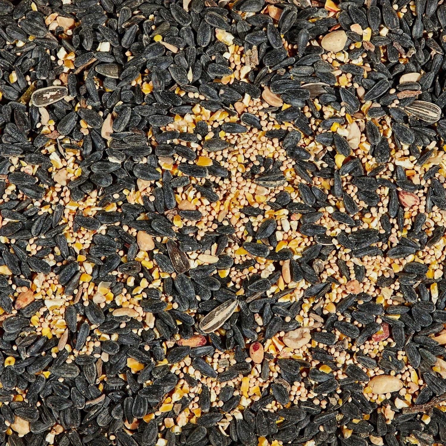 Kaytee Songbird Wild Bird Food - Healthber