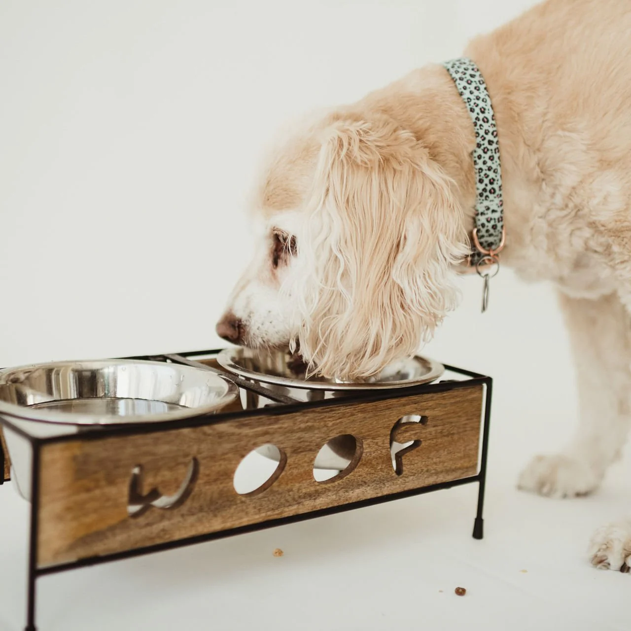 Wooden Woof Cut Dog Diner - Healthber