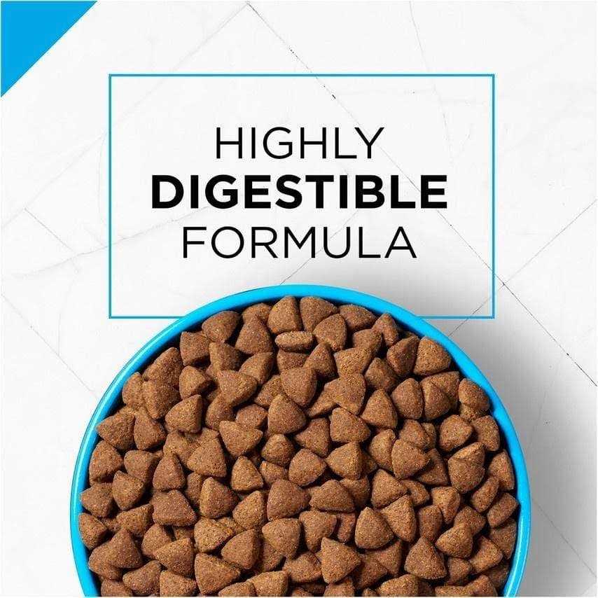 Purina Pro Plan Sensitive Skin & Stomach Salmon & Rice Formula Dry Dog Food - Healthber