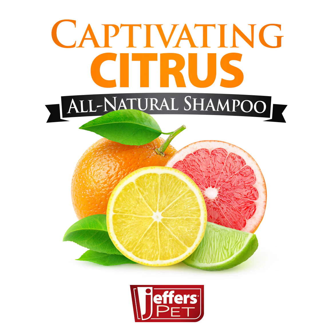 Captivating Citrus Shampoo for Dogs and Cats - Healthber