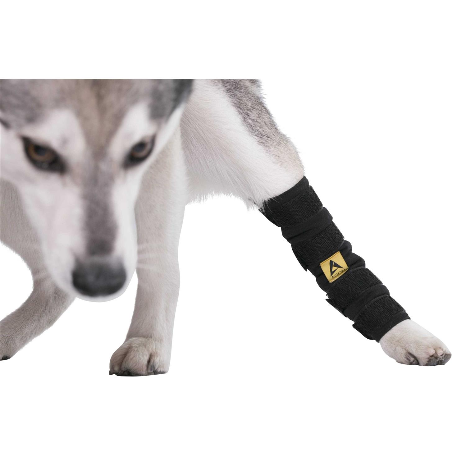 Agon canine Dog Hock Brace Rear Leg Joint Wrap Protects Wounds as They Heal, compression Wrap, Heals and Prevents Injuries and Sprains Helps - Healthber