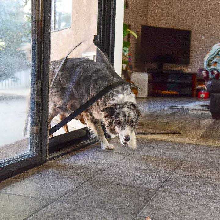 PetDoors.com Screen Pet Door Conversion Kit Doggie Door for Screen Door Patio Screen - Healthber