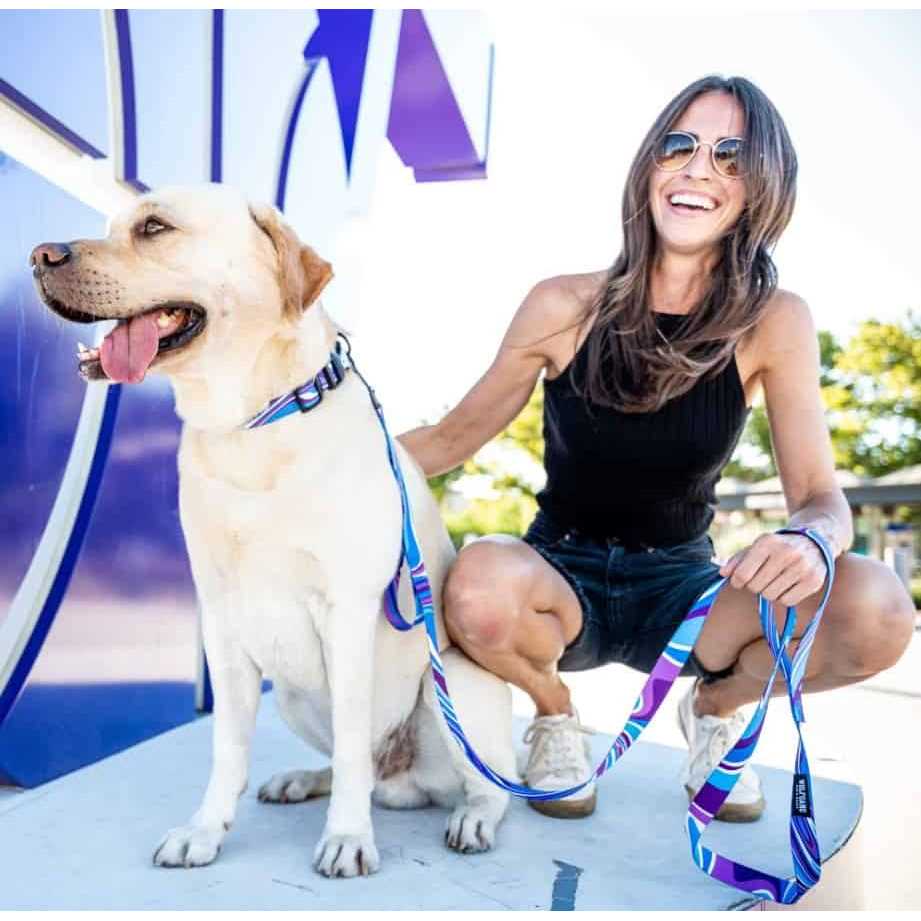 Wolfgang Dog Collar - Healthber