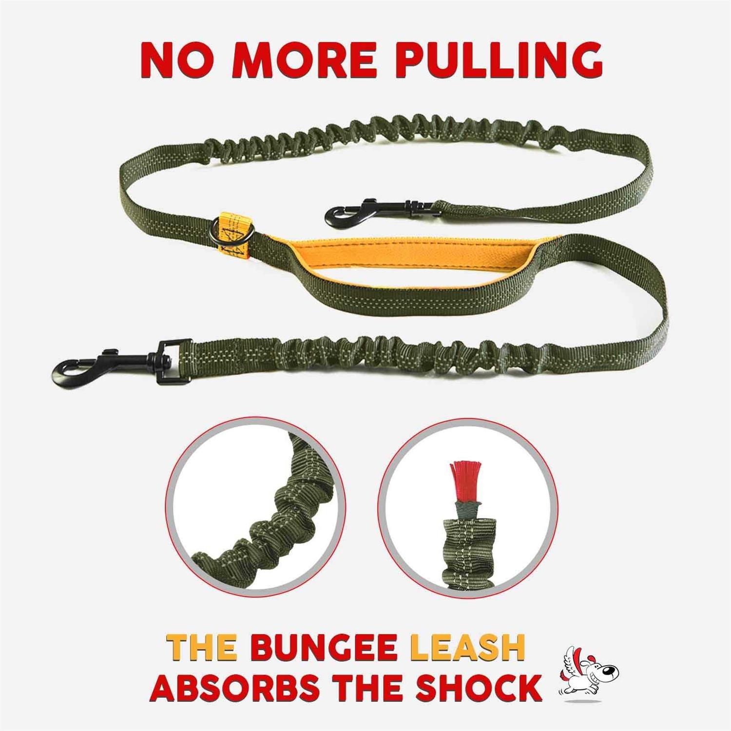 Pet Dreamland Exquisite Double Dog Leash for Large Dogs Hands Free Dog Leash 2 Dogs - Healthber