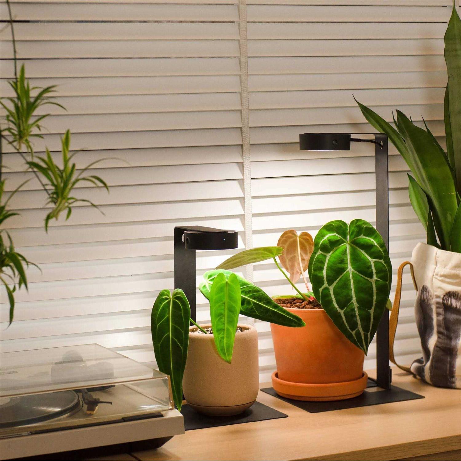 ONF Mist O Shelf Magnetic Light Colorfull LED for Indoor Plant Growth-Promoting - Healthber
