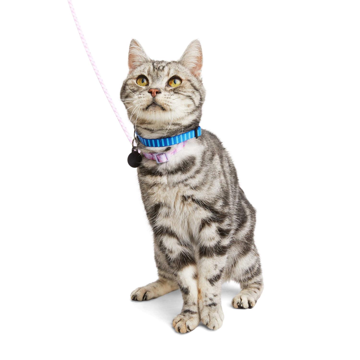 YOULY Kitten Harness & Lead - Healthber