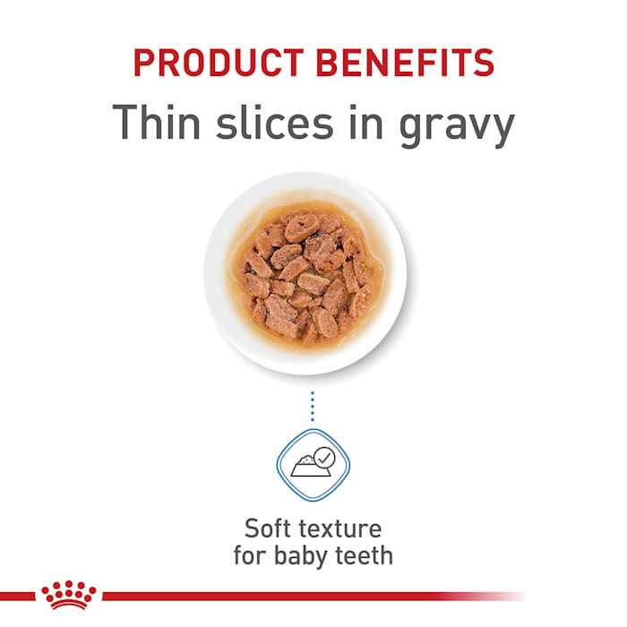 Royal Canin Size Health Nutrition Small Puppy Thin Slices in Gravy Wet Dog Food - Healthber