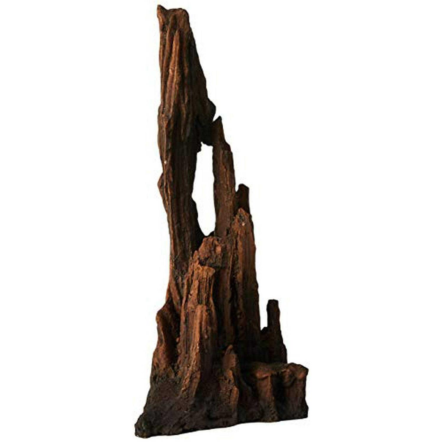 Underwater Treasures Petrified Wood - Healthber