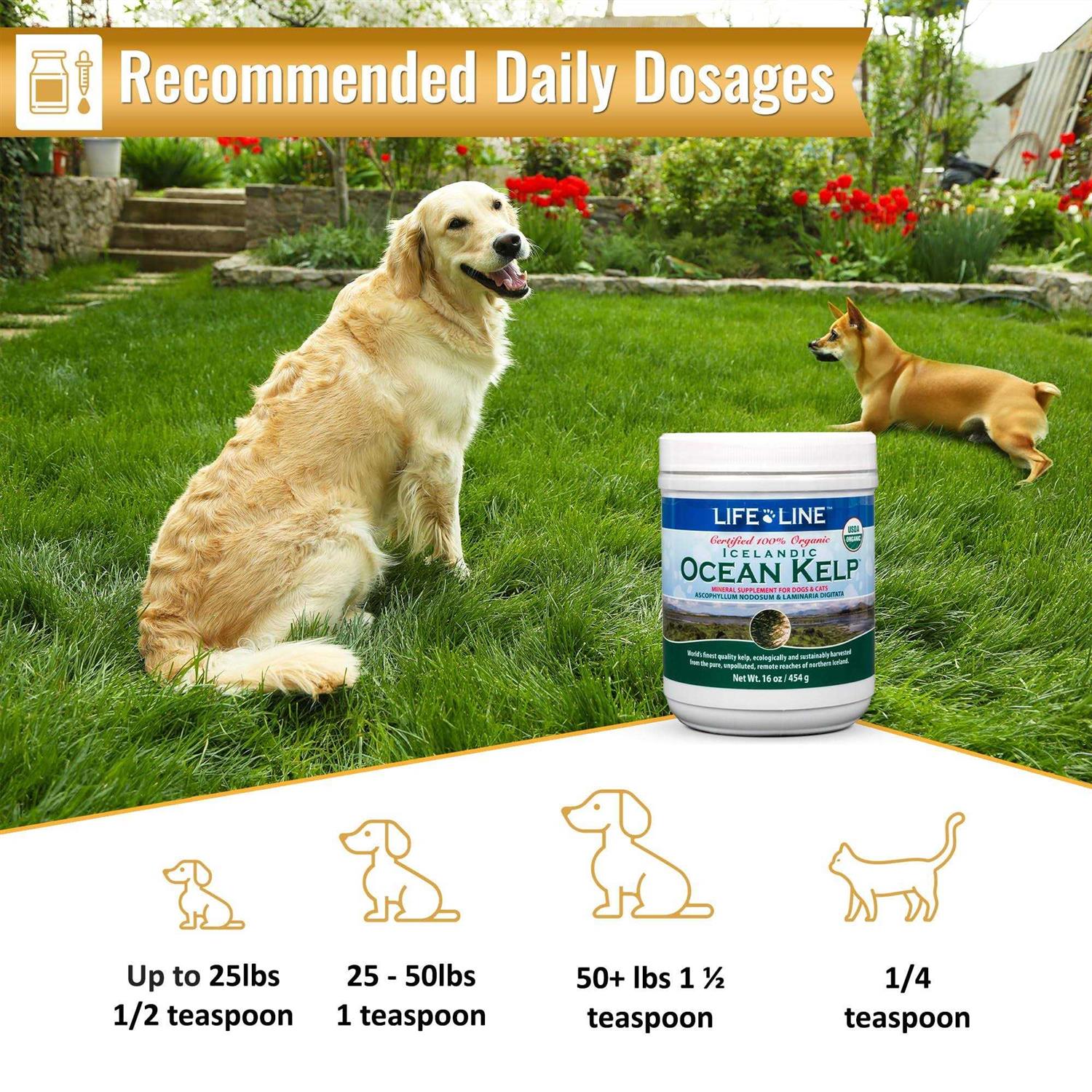 Life Line Pet Nutrition Life Line Ocean Kelp Dog & Cat Supplement - Healthber
