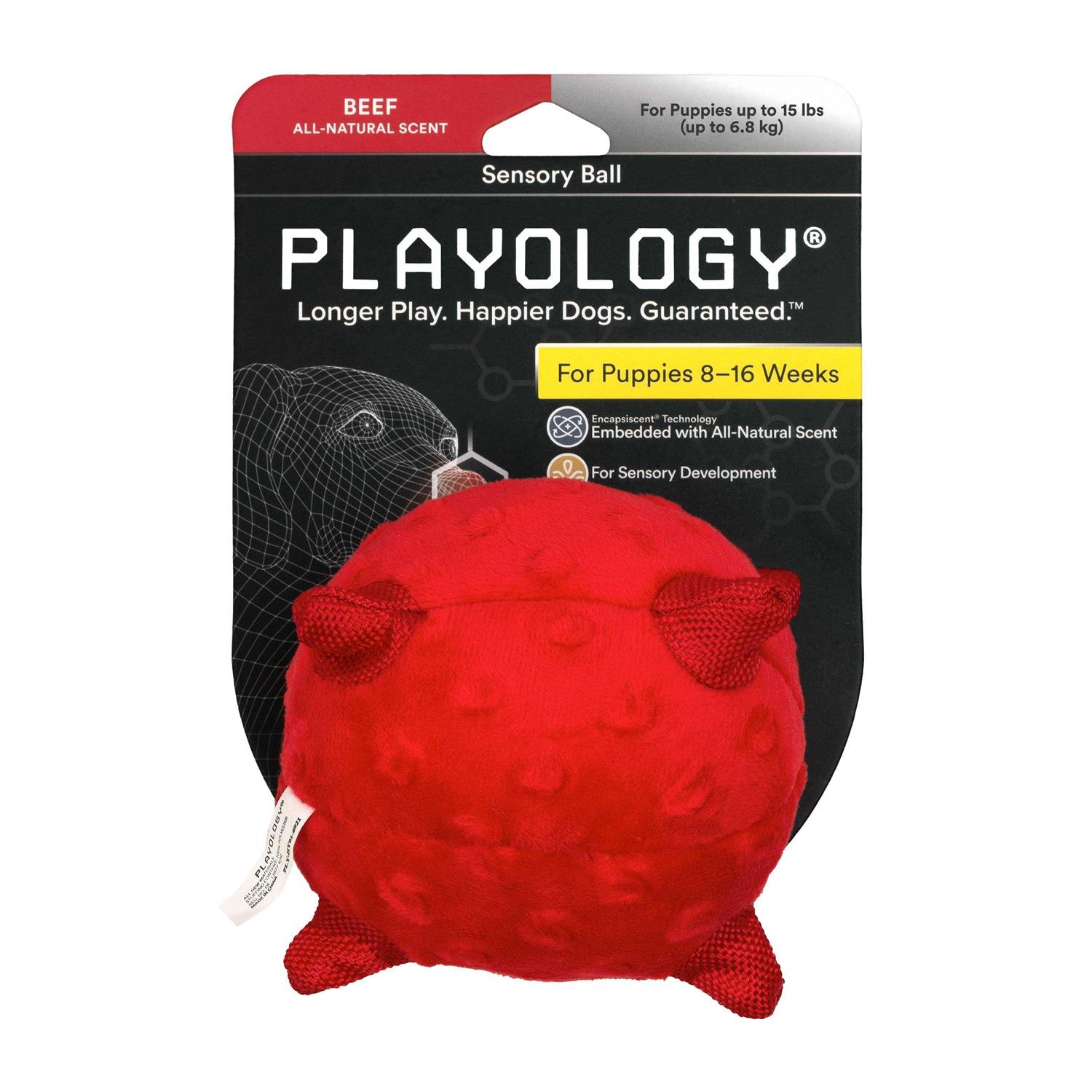 Playology Puppy Sensory Ball Dog Toy - Healthber
