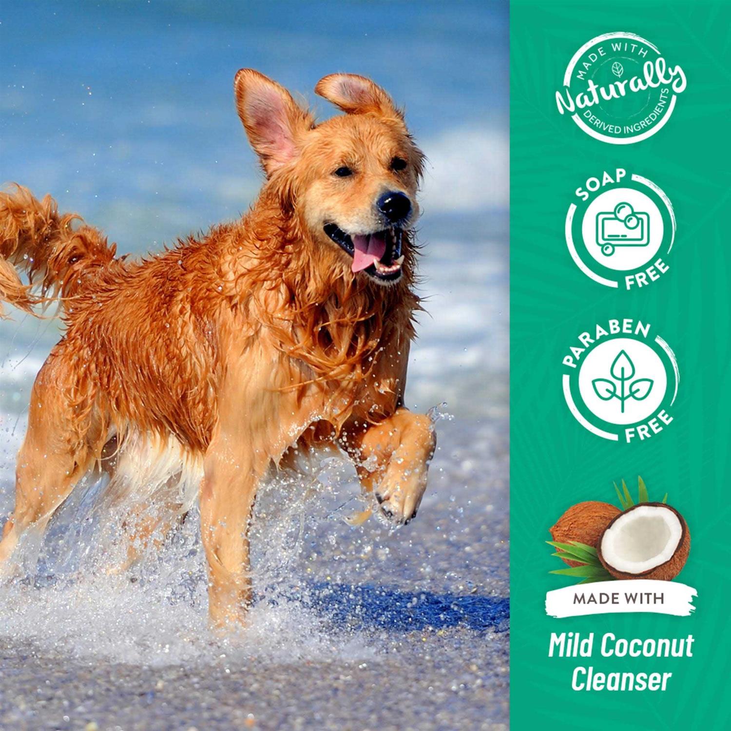 Tropiclean Whitening Awapuhi & Coconut Shampoo - Healthber