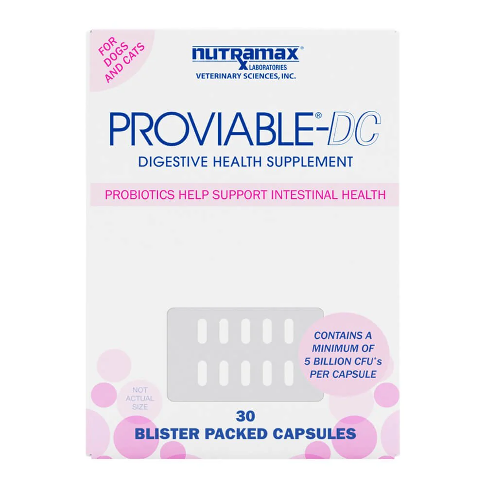 Nutramax Proviable-DC for Dogs & Cats - Healthber