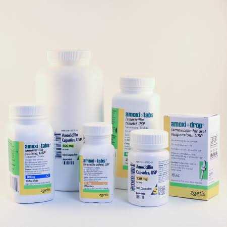 Amoxi Drop 30 ml - Healthber
