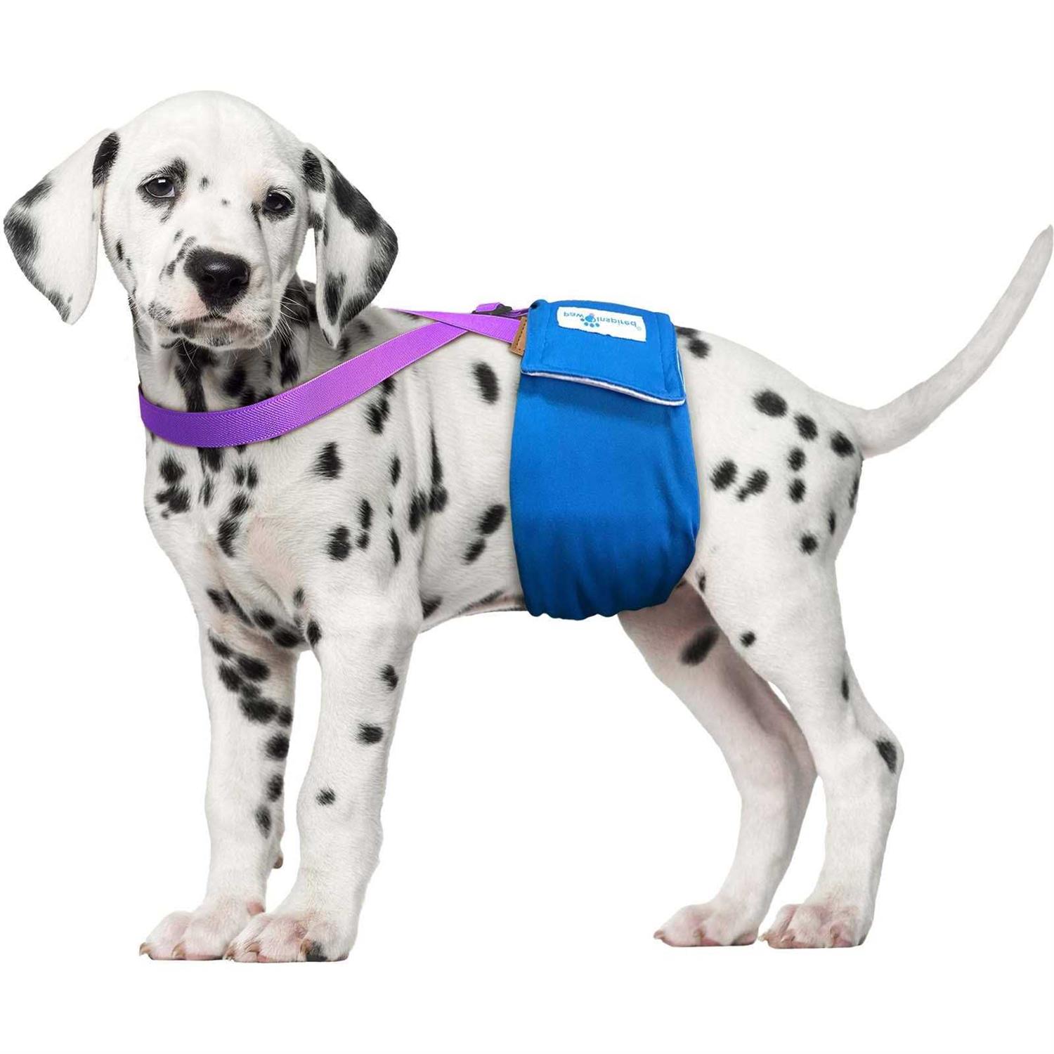 Paw Inspired Dog Diaper Suspenders - Healthber