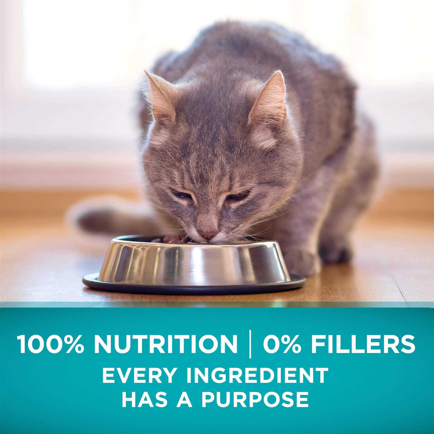 Purina ONE Natural High Protein Grain Free Dry Cat Food - Healthber