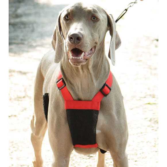 Sporn Mesh Non Pull Dog Harness - Healthber