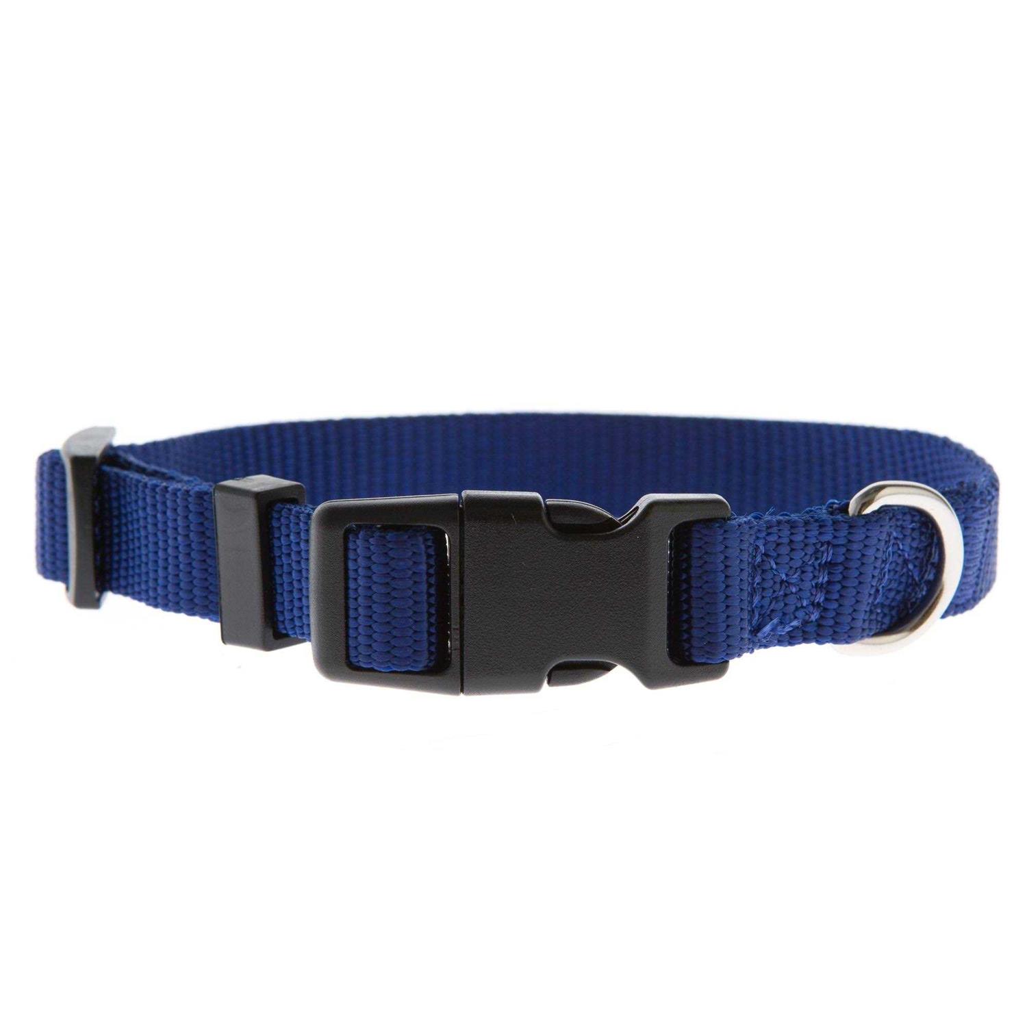 Top Paw Signature Dog Collar - Healthber