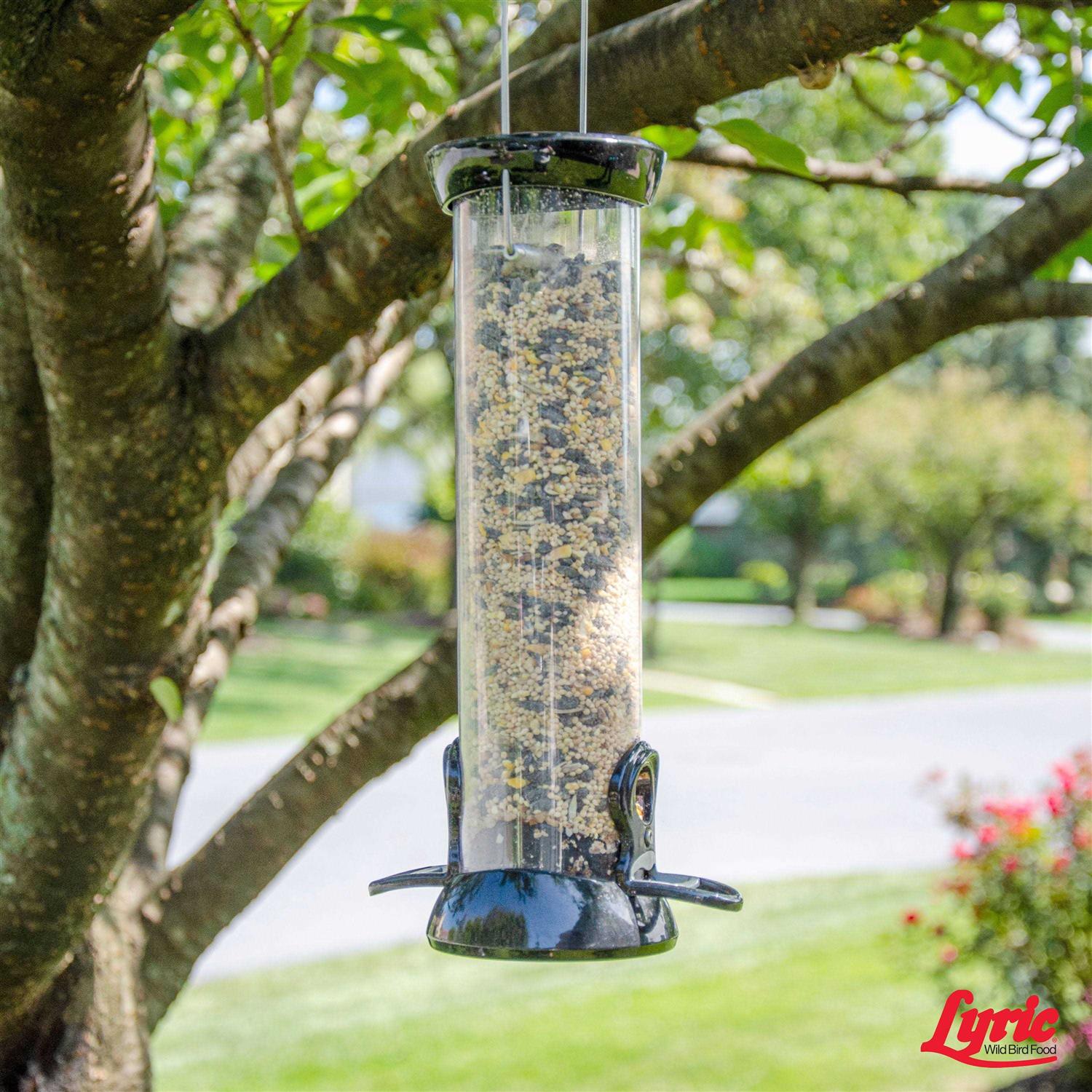 Lyric Wild Bird Mix - Healthber