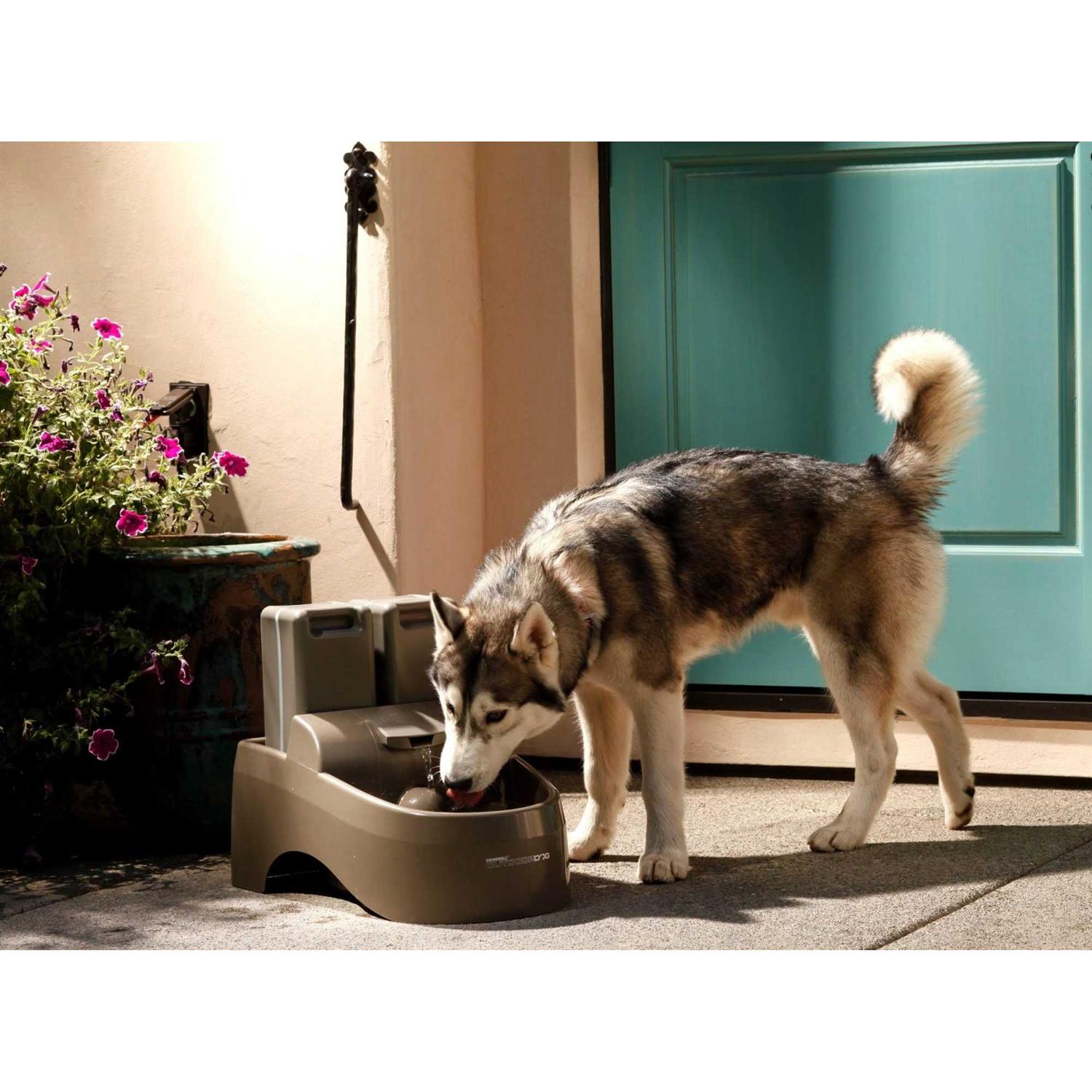 PetSafe Drinkwell Outdoor Dog Fountain - Healthber