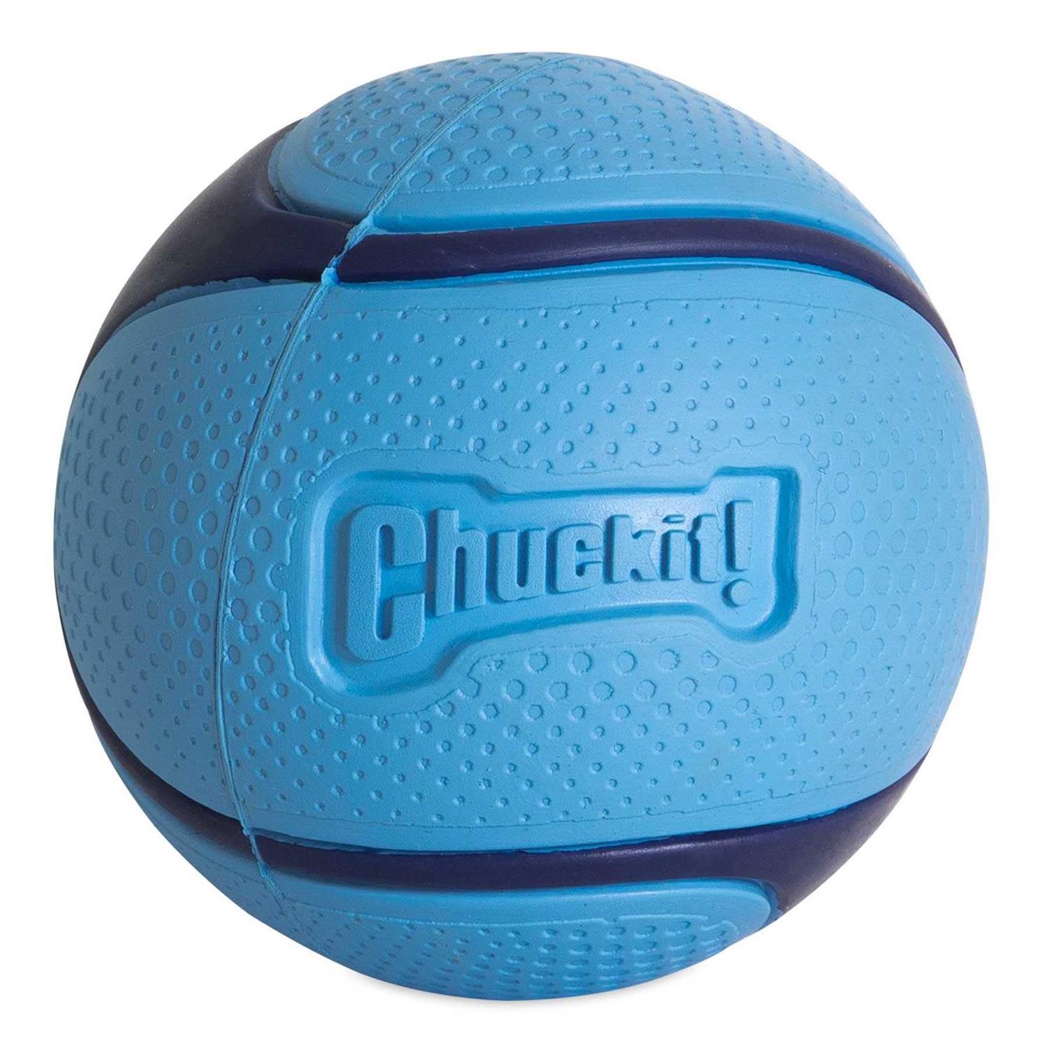 Chuckit! Sniff Fetch Ball Dog Toy - Healthber