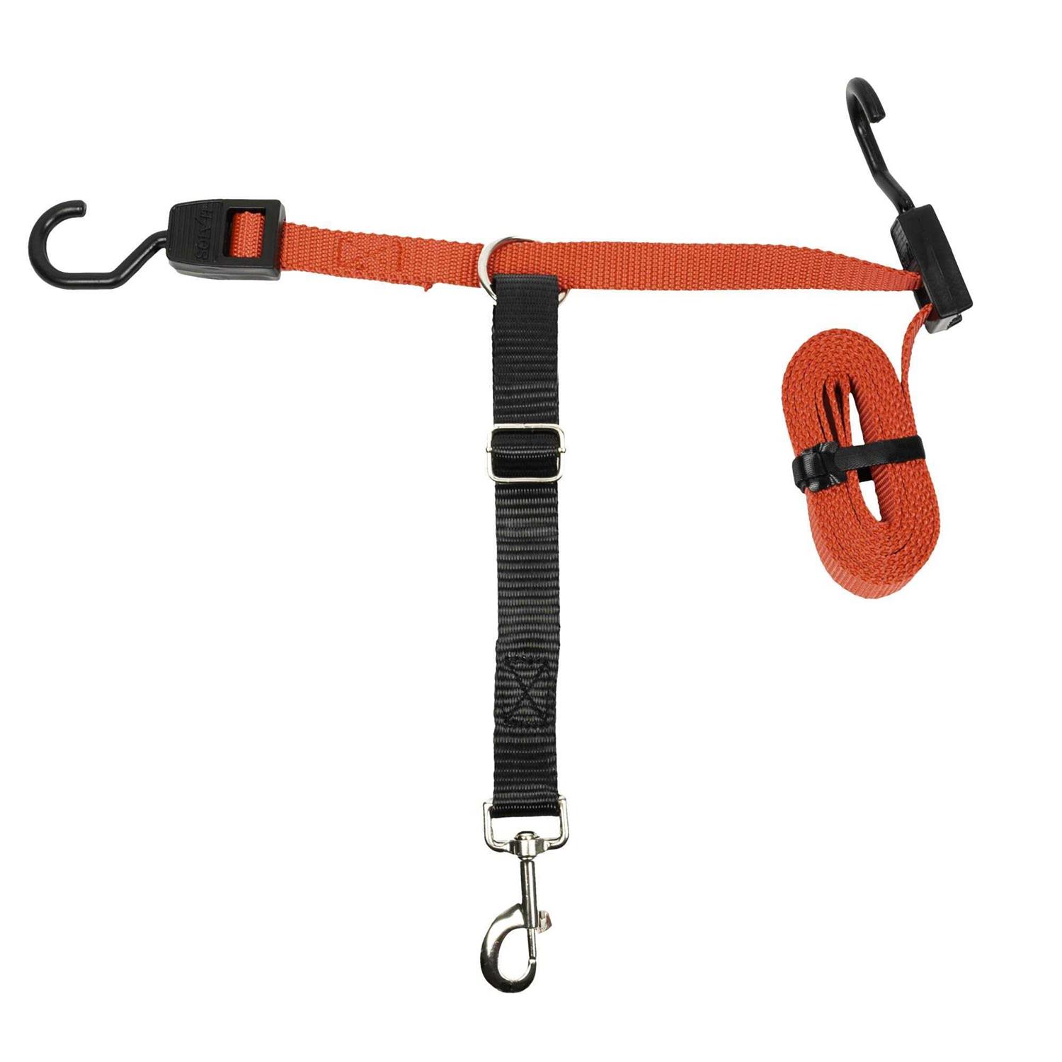 PetSafe Happy Ride Dog Zipline - Healthber