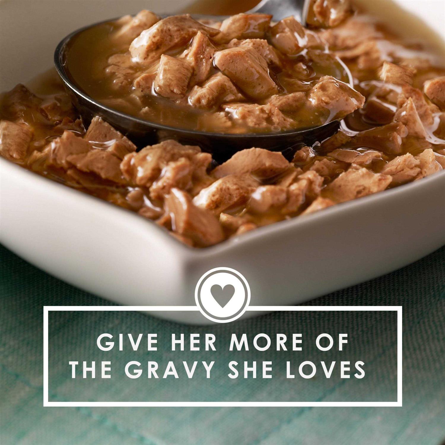 Purina Fancy Feast Gravy Lovers - Healthber