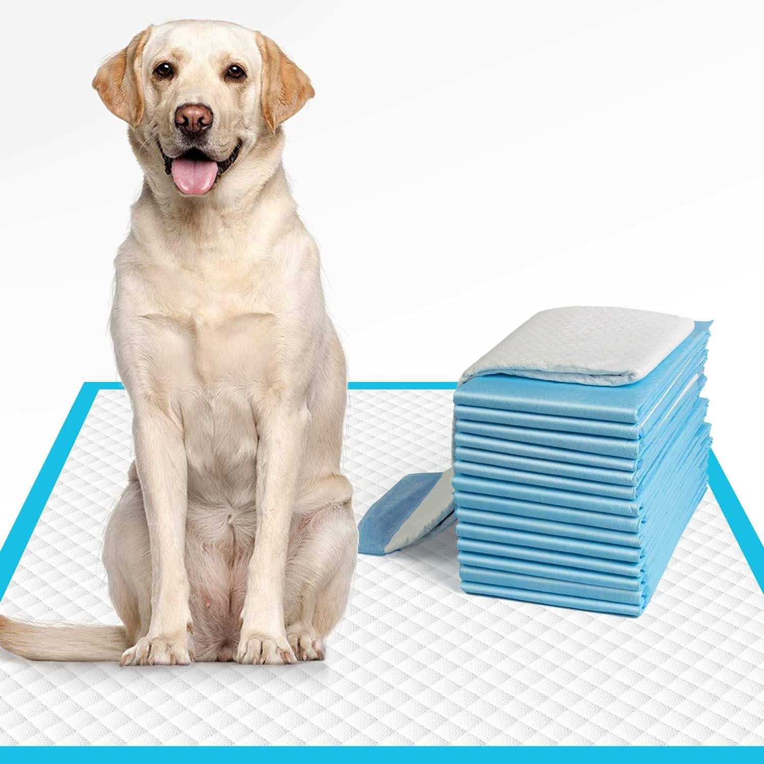 IMMCUTE Extra Large Dog Pee Pads Large Puppy Pee Training Pads Super Absorbent & Leak-Proof - Healthber