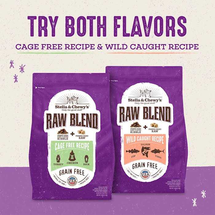 Stella Chewy’s Raw Blend Cage-Free Recipe Dry Cat Food - Healthber