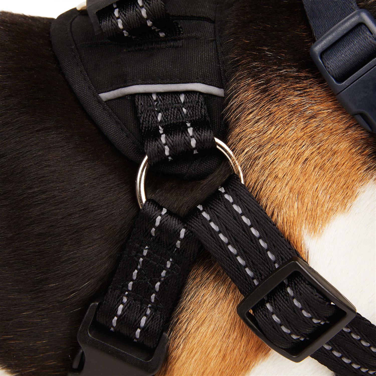 EveryYay Easy On Training Dog Harness - Healthber